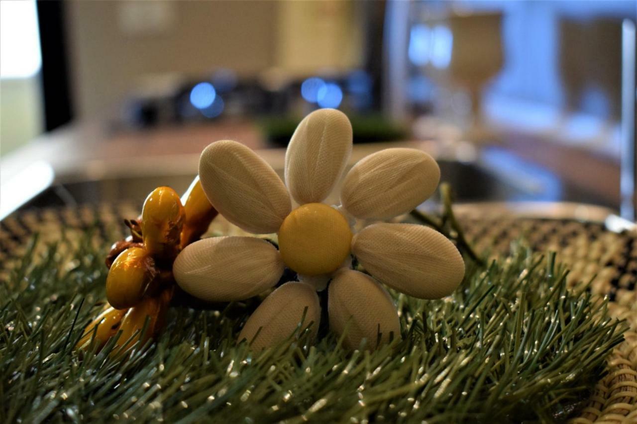 Masa Appartamenti 페스카라 외부 사진